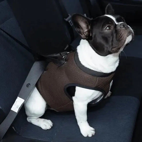 Car Seat Vest Harness for Enhanced Vehicle Safety