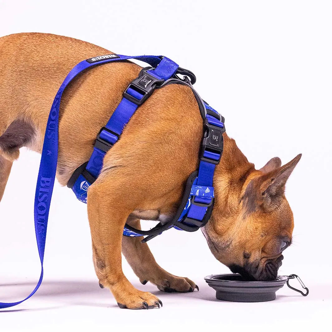 Dog Travel Water Bowl